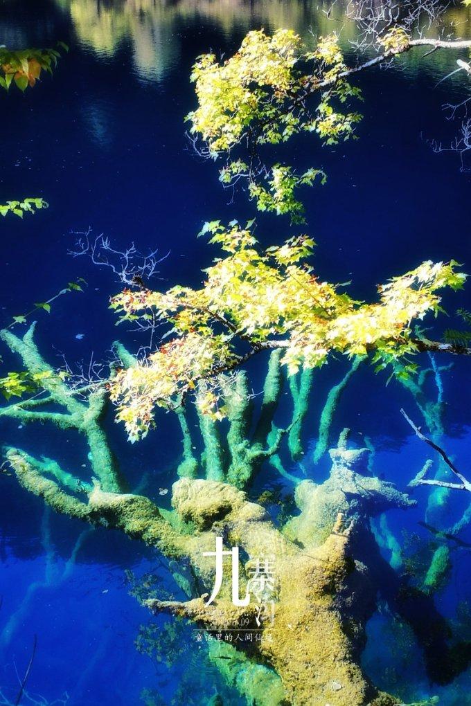 三亚海鲜餐饮行业举行春节期间文明旅游诚信经营动员会