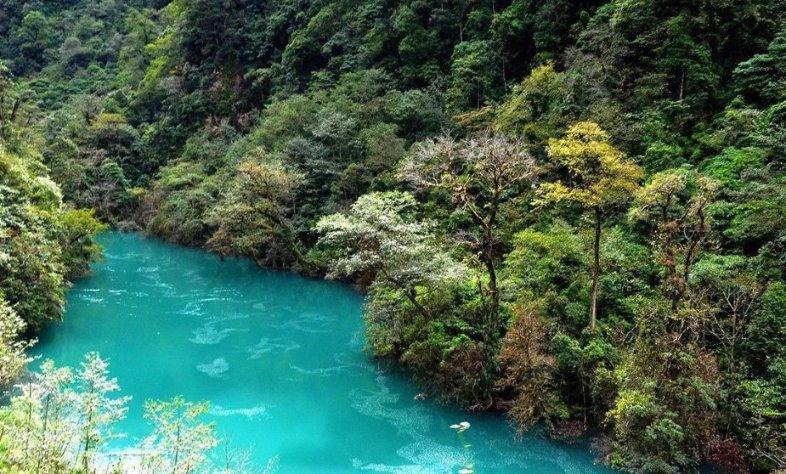 广东出招了!白云山板蓝根将启动春运温暖回家路